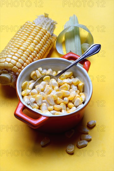 Fresh maize kernels in pots and cobs, corn (Zea mays)