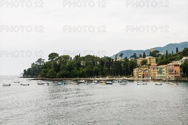 Village with colourful houses by the sea, San Michele di Pagana, Rapallo, Italian Riviera, Liguria, Italy, Europe