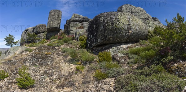 Mountain pass in the Serra Estrela, landscape, barren, mountainous, plateau, climate, climate change, heather, nature, natural landscape, geology, geography, blue sky, travel, flora, vegetation, rock, rocky, erosion, dry, dried up, Portugal, Europe