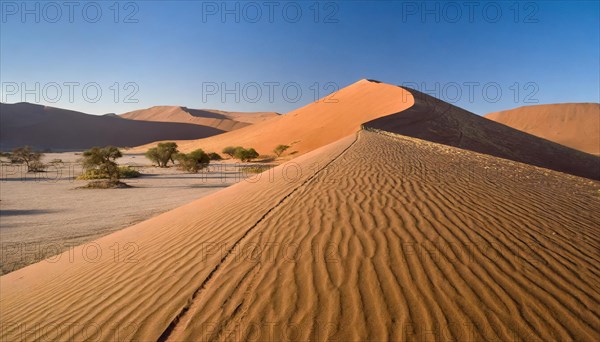 AI generated, The highest sand dunes in the world in Namibia, Sossusvlei