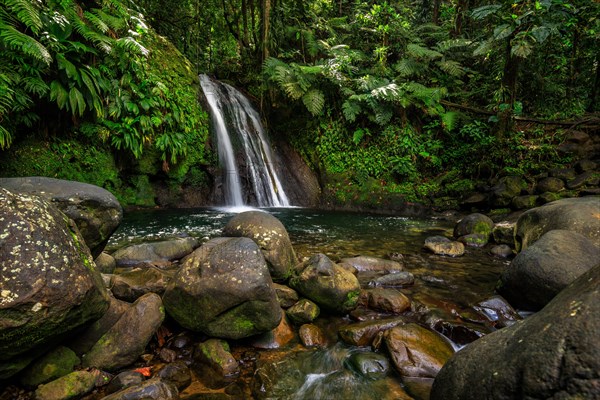 Pure nature, a waterfall with a pool in the forest. The Ecrevisses waterfalls, Cascade aux ecrevisses on Guadeloupe, in the Caribbean. French Antilles, France, Europe