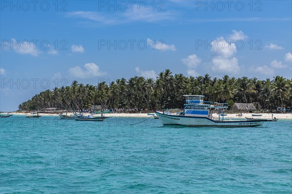 Little boats before a palm fringed white sand beach, Agatti Island, Lakshadweep archipelago, Union territory of India