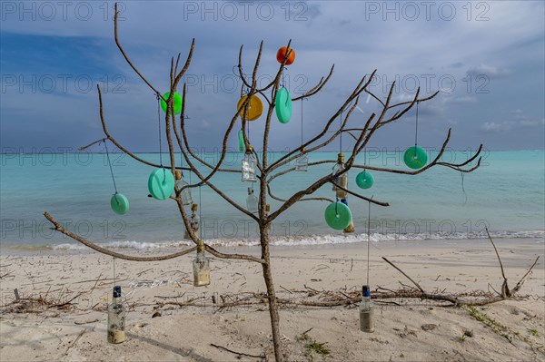 Plastic art on a tree, white sand beach, Tinnakara island, Lakshadweep archipelago, Union territory of India