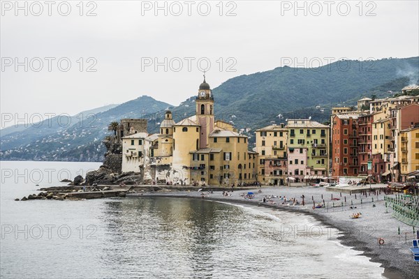 Village with colourful houses by the sea, Camogli, Province of Genoa, Riveria di Levante, Liguria, Italy, Europe