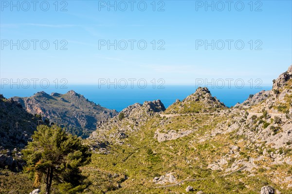 Mountain landscape with winding mountain road from Sa Calobra to Torrent de Pareis, steep, partly bare rock faces and peaks, Mediterranean vegetation with pine trees (Pinus), historic stone wall in the valley, Serra de Tramuntana mountains, view of the blue Mediterranean Sea in sunny weather and blue sky, steep coast, panoramic road, Majorca, Spain, Europe
