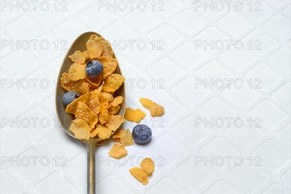 Cornflakes and blueberries in spoon, Breakfast