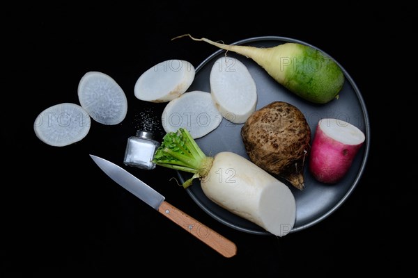 Various radishes on a plate, sliced, Raphanus