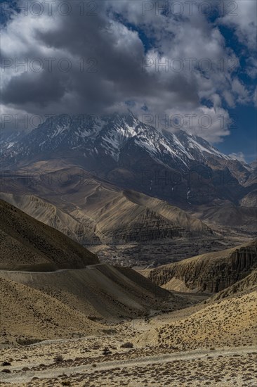 Desert landscape before a snowcapped mountain range, Kingdom of Mustang, Nepal, Asia