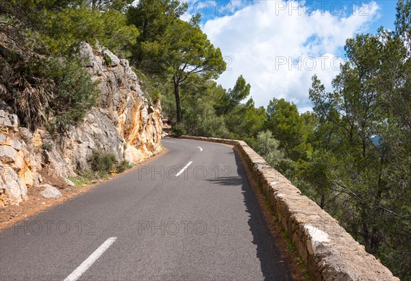 Winding, very narrow mountain road on a steep rocky slope, lined with rocks (limestone) and Mediterranean vegetation, Aleppo pines (Pinus halepensis), holm oaks (Quercus ilex) or holm oak, european fan palm (Chamaerops humilis), Trees, forest, with a view of the blue sky with individual white clouds, sunny pass road Ma-1032 from Capdella to Puigpunyent with a low wall at the roadside in spring, Serra de Tramuntana, Majorca, Spain, Europe