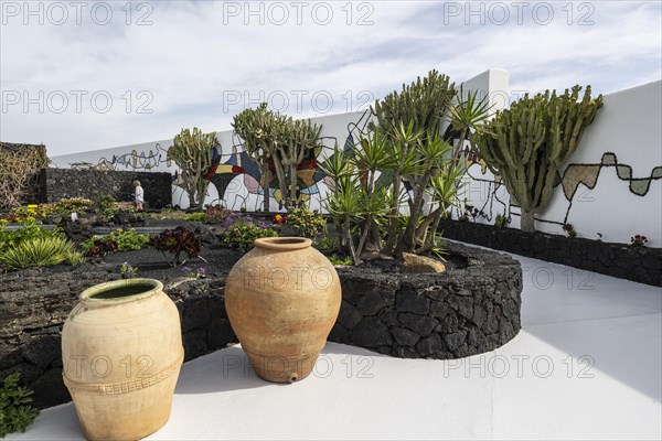 Garden in the inner courtyard of the Fundacion Cesar Manrique, Lanzarote, Canary Islands, Spain, Europe