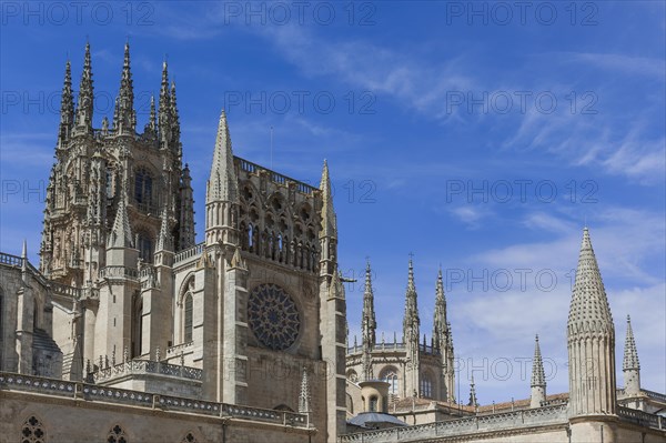 Cathedral of the Virgin Mary, Leon, church, sacred building, building, old town, city centre, historic, Christianity, religion, Gothic, Gothic, building, architecture, UNESCO, World Heritage Site, architectural style, Middle Ages, travel, holiday, tourism, city trip, Burgos, Spain, Europe