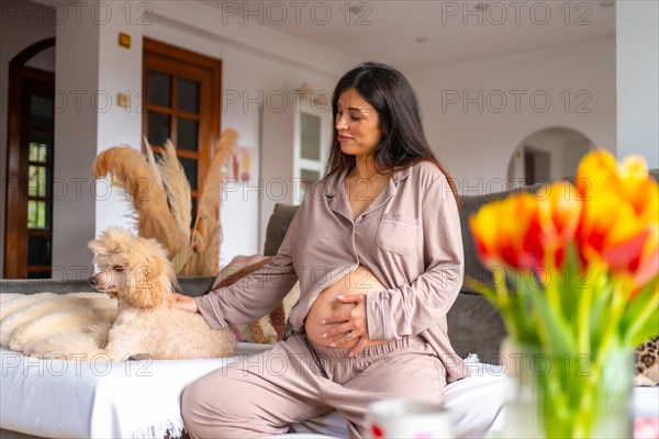 Pregnant woman in comfortable clothes caressing a dog sitting on sofa in a sunny day