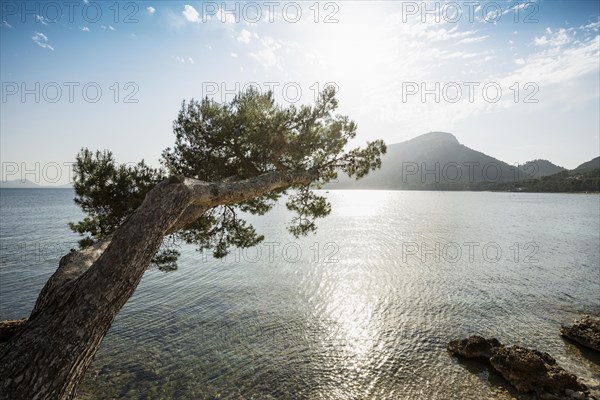 Platja Formentor, Cape Formentor, Port de Pollenca, Serra de Tramuntana, Majorca, Majorca, Balearic Islands, Spain, Europe