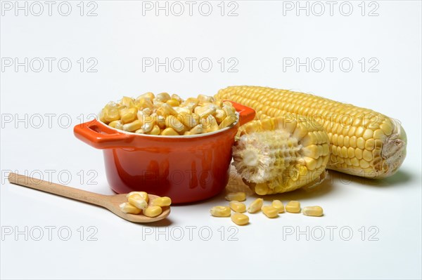 Fresh maize kernels in pots and cobs, corn (Zea mays)