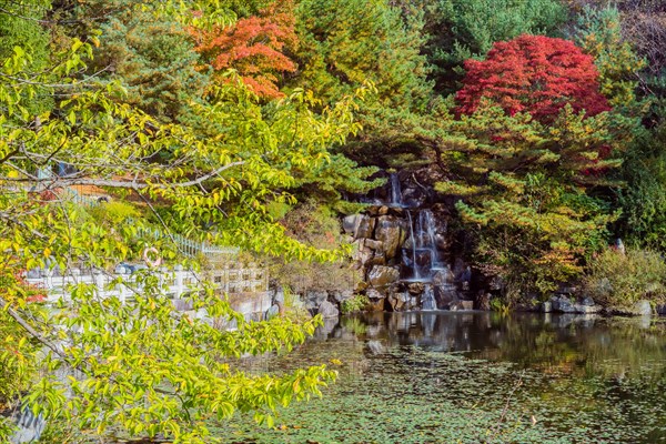 Waterfall flowing into a pond surrounded by lush greenery and seasonal red trees, in South Korea