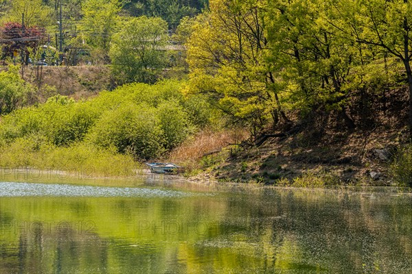 Landscape of river bank with trees and bushes on the riverbank and a small boat next to bank in South Korea