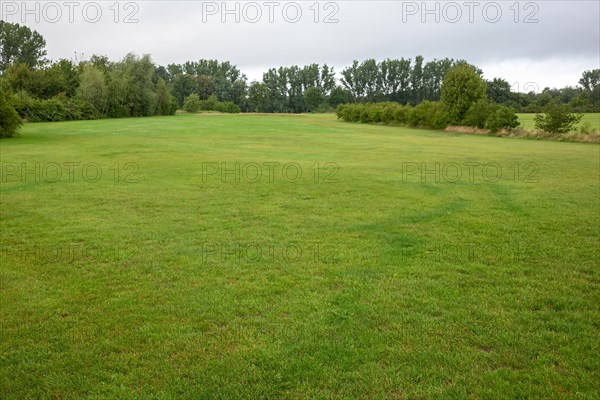 Wide field of a golf course surrounded by trees under a cloudy sky
