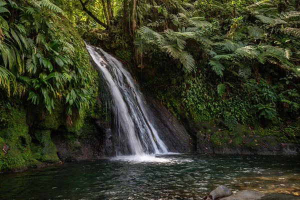 Pure nature, a waterfall with a pool in the forest. The Ecrevisses waterfalls, Cascade aux ecrevisses on Guadeloupe, in the Caribbean. French Antilles, France, Europe