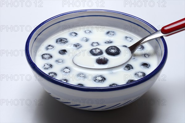 Blueberries with milk in skin