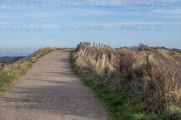 A tranquil landscape with a path on the hillside and a clear blue sky