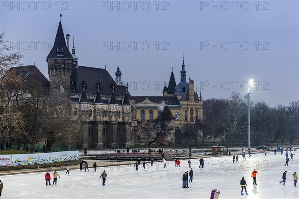 The ice rink in front of the castle, skating, attraction, ice, winter, winter sports, leisure, pleasure, centre, downtown, architecture, history, travel, holiday, city trip, Budapest, Hungary, Europe