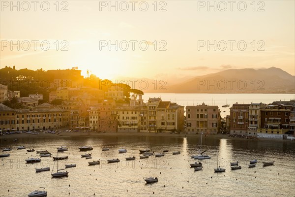 Village with colourful houses by the sea, sunset, Baia del Silenzio, Sestri Levante, Province of Genoa, Riveria di Levante, Liguria, Italy, Europe