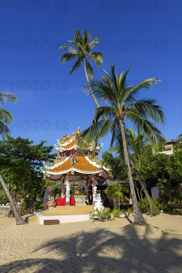 Buddhist temple at Maenam Beach, beach, sea, religion, temple complex, Buddhism, sacred, religious, world religion, offering, pilgrimage site, pray prayer, Asian, Buddha, colourful, tourism, travel, culture, history, world religion, palm tree, outside, building, faith, Koh Samui, Thailand, Asia