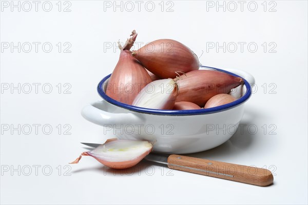 Shallots in peel, Allium cepa