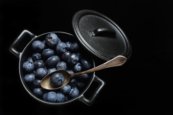 Blueberries with spoon in pots, cultivated blueberry, Vaccinium