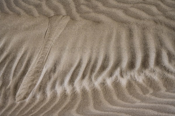 Details and structures, Dune landscape, Dunes, Playa de Famara, Lanzarote, Canary Islands, Spain, Europe