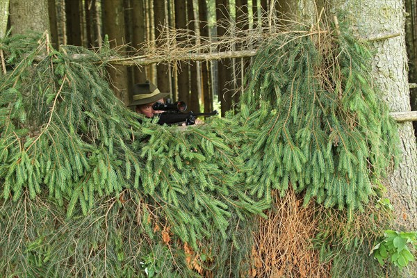 Hunter hiding at the edge of the forest, Allgaeu, Bavaria, Germany, Europe