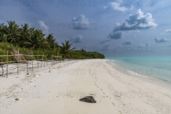 White sand beach, Parli 1 island, Lakshadweep archipelago, Union territory of India