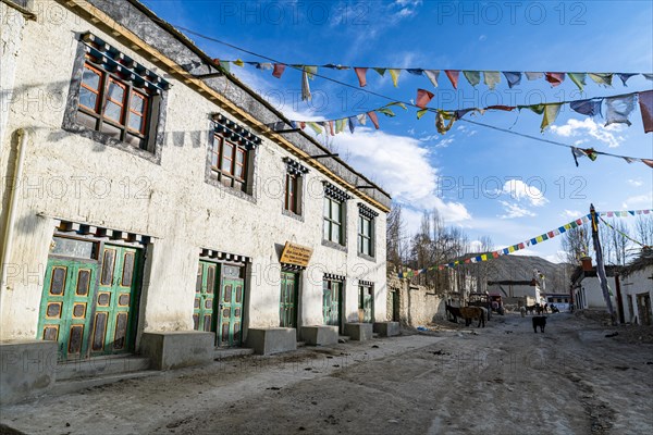 Tibetan houses in Lo Manthang, capital of the Kingdom of Mustang, Nepal, Asia