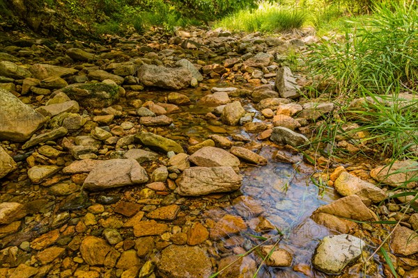 A shallow streambed with clear water running over multicolored rocks and lush greenery on the sides, in South Korea