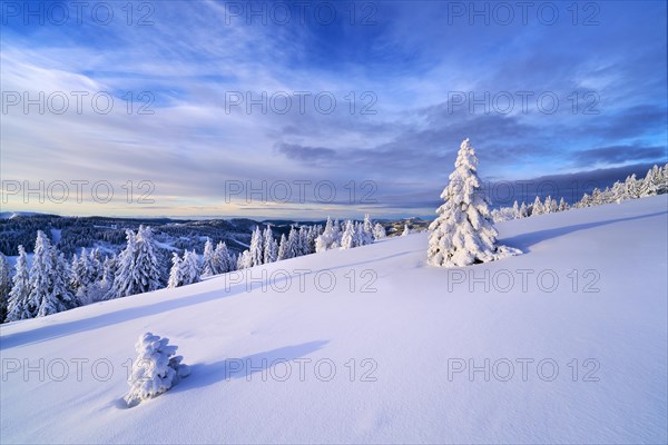 Winter on the Feldberg, Breisgau-Hochschwarzwald district, Baden-Wuerttemberg, Germany, Europe