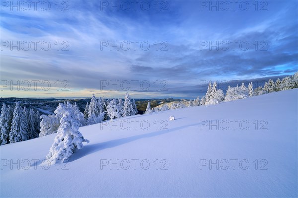 Winter on the Feldberg, Breisgau-Hochschwarzwald district, Baden-Wuerttemberg, Germany, Europe