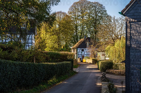 A quiet village street with traditional half-timbered houses on a sunny spring day, Schee, Gennebreck, Sprockhoevel, North Rhine-Westphalia