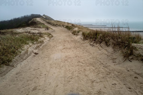 Sandy path through dune landscape on a cloudy day, Westkapelle, Zeeland, Netherlands