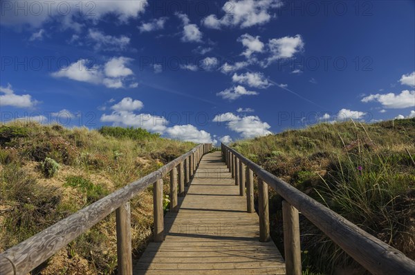 Path through the dune landscape, wooden walkway, environmental protection, nature conservation, path, walkway, walkway, coast, nature, nature trail, emotion, vastness, esoteric, esoteric, symmetry, future, symbol, coastal landscape, beach walk, tourism, travel, beach holiday, landscape, heath, heath landscape, new path, happiness, national park, hiking, hike, Algarve, Portugal, Europe