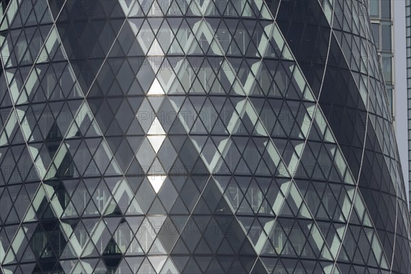 The Gherkin skyscraper building close up of window details with a Herring gull (Larus argentatus) bird flying past, City of London, England, United Kingdom, Europe