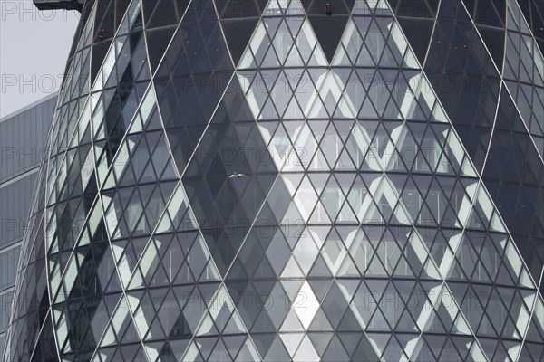 The Gherkin skyscraper building close up of window details with a Herring gull (Larus argentatus) bird flying past, City of London, England, United Kingdom, Europe