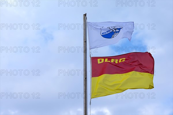 Waving flags of the DLRG, Deutsche Lebens-Rettungs-Gesellschaft, on the beach of Kuehlungsborn, Meckleburg-Vorpommern, Germany, Europe