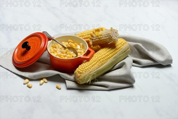 Fresh maize kernels in pots and cobs, corn (Zea mays)