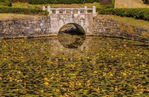 Tranquil pond filled with lily pads and a reflection of an arched stone bridge, in South Korea