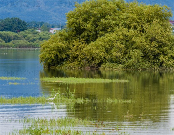 A tranquil scene of a tree-covered islet reflecting in the mirror-like lake surface, in South Korea