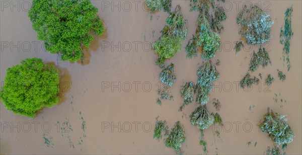 Aerial view of a flooded river with treetop above muddy water, in South Korea