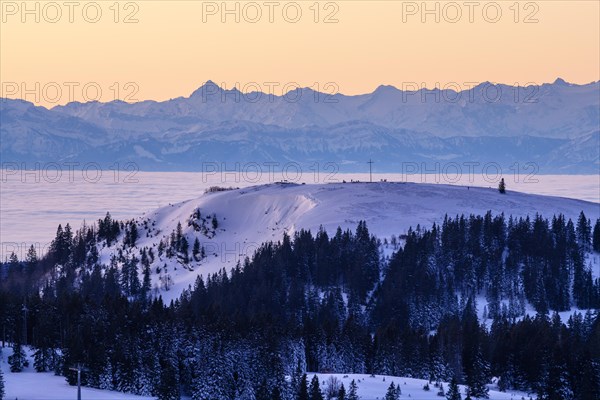 View from the Feldberg over the Herzogenhorn to the Swiss Alps, in front of sunrise, Breisgau-Hochschwarzwald district, Baden-Wuerttemberg, Germany, Europe