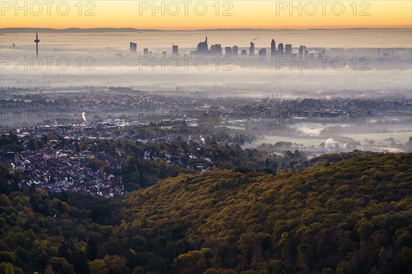 View of Frankfurt am Main, skyline at dawn with fog, Hesse, Germany, Europe