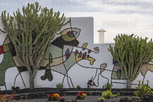 Garden in the inner courtyard of the Fundacion Cesar Manrique, Lanzarote, Canary Islands, Spain, Europe