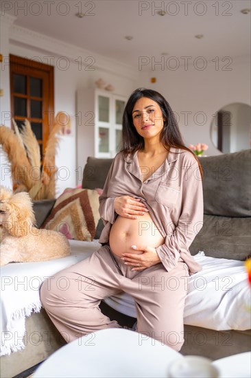 Vertical portrait of a beauty Hispanic pregnant woman at home sitting on the sofa